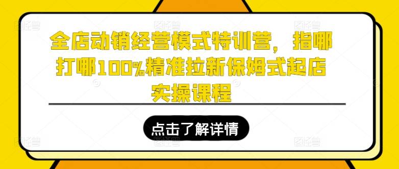 全店动销经营模式特训营，指哪打哪100%精准拉新保姆式起店实操课程-网创指引人