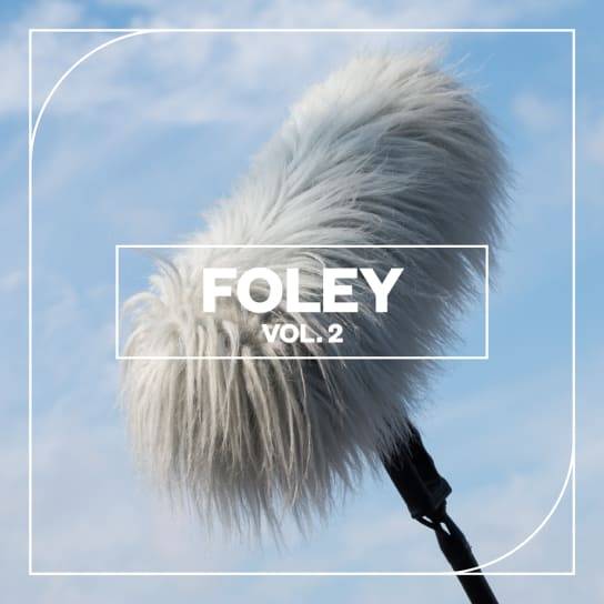 Blastwave FX Foley Vol. 2 WAV-FANTASTiC