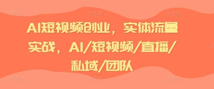 AI短视频创业，实体流量实战，AI/短视频/直播/私域/团队-网创指引人