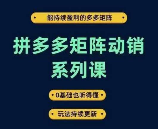 拼多多矩阵动销系列课，能持续盈利的多多矩阵，0基础也听得懂，玩法持续更新-网创指引人