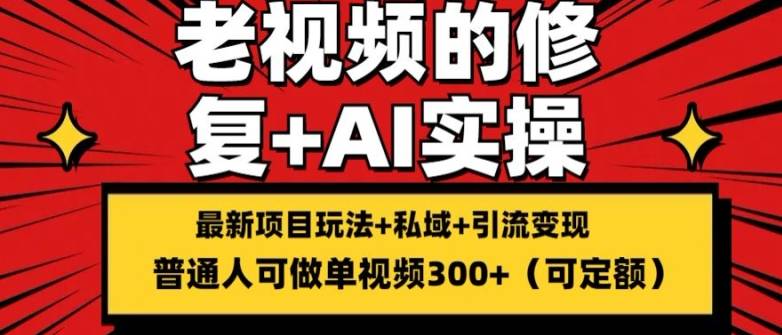 修复老视频的玩法，搬砖+引流的变现(可持久)，单条收益300+【揭秘】-网创指引人