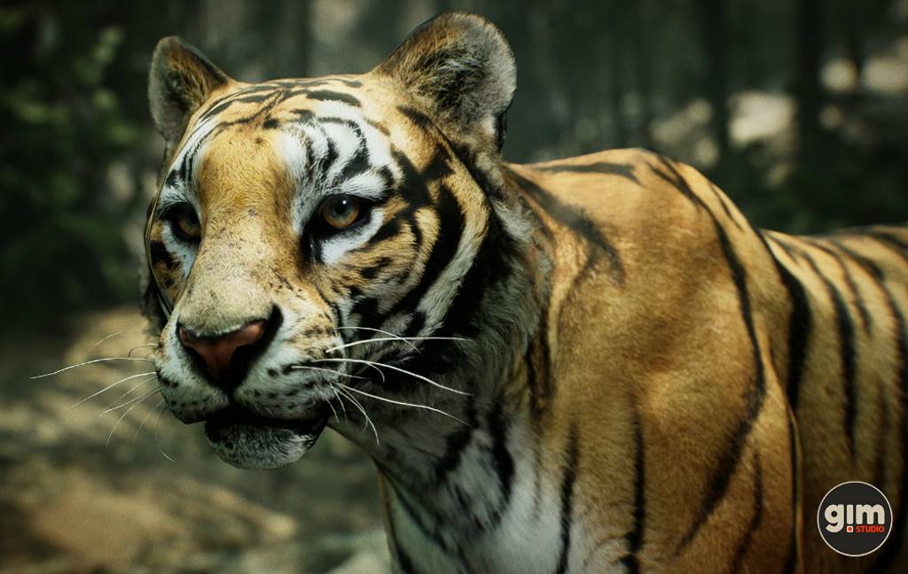 【UE4/5】写实老虎 Animalia – Tiger (male)
