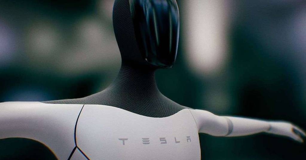 Tesla bot