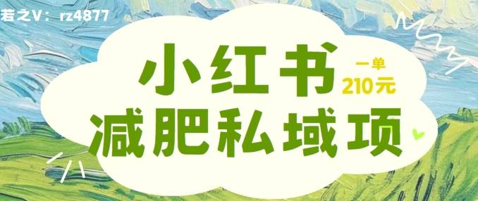 小红书减肥粉，私域变现项目，一单就达210元，小白也能轻松上手【揭秘】-网创指引人