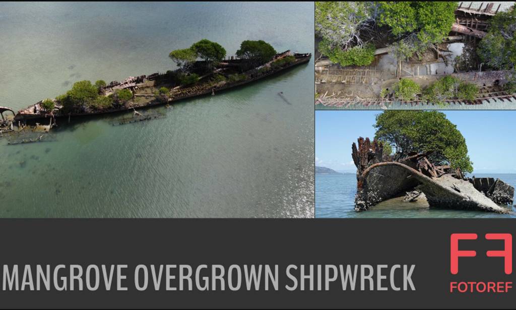 107 张杂草丛生的沉船的参考照片 107 photos of Mangrove Overgrown Shipwreck