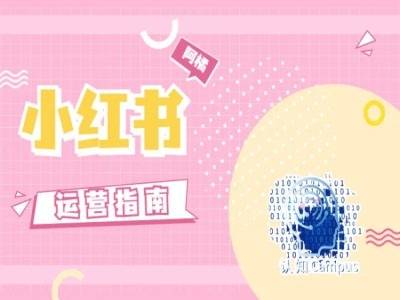 小红书运营指南，没有套路，全是经验-网创指引人