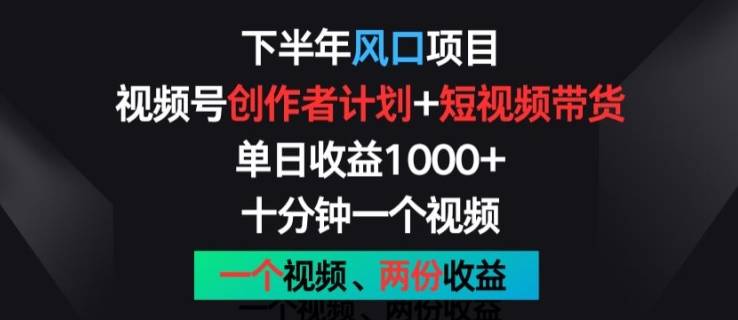 下半年风口项目，视频号创作者计划+视频带货，一个视频两份收益，十分钟一个视频【揭秘】-网创指引人