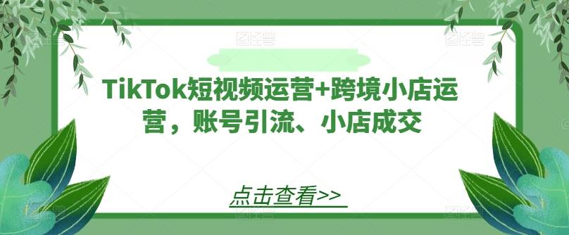 TikTok短视频运营+跨境小店运营，账号引流、小店成交-网创指引人