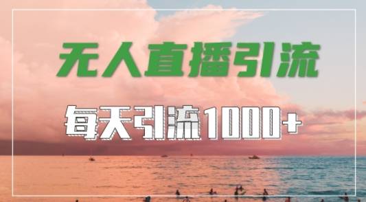 抖音快手视频号全平台通用，无人直播引流法，超暴力引流1000+高质量精准创业粉【揭秘】-网创指引人