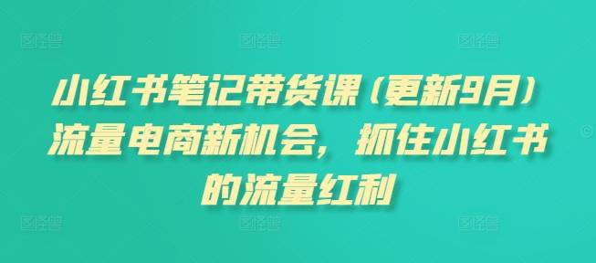 小红书笔记带货课(更新9月)流量电商新机会，抓住小红书的流量红利-网创指引人