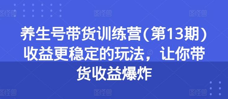 养生号带货训练营(第13期)收益更稳定的玩法，让你带货收益爆炸-网创指引人